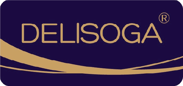 Delisoga Logo