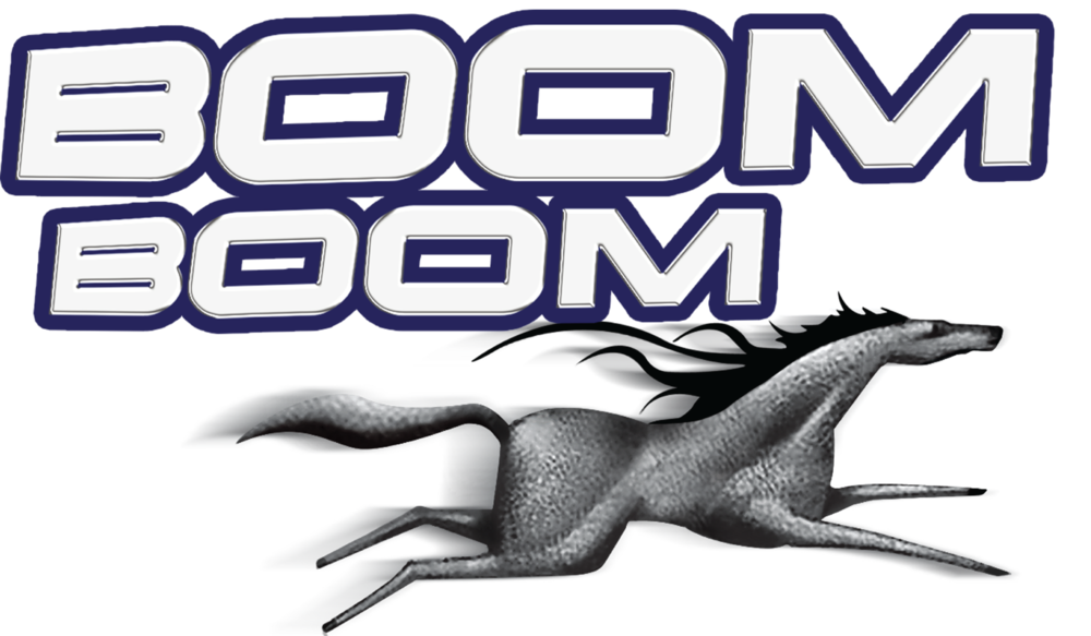 BoomBoom Logo